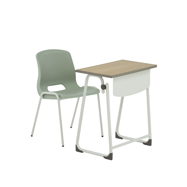 마론(기본형)+로이의자