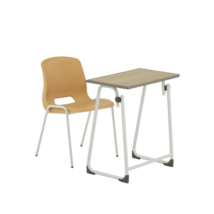 마론(기본형)+로이의자