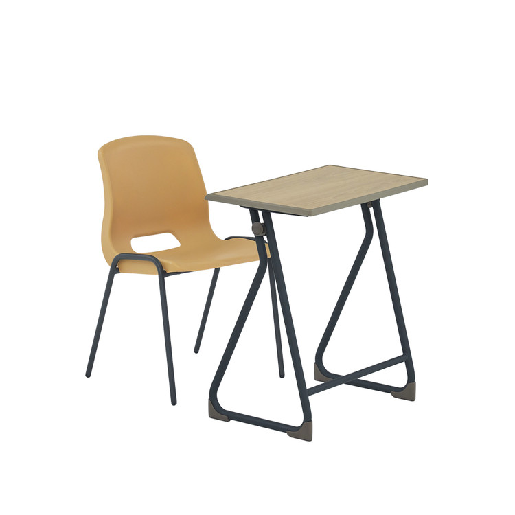알로(기본형)+로이의자