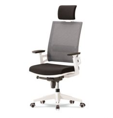 KI-팔리오 올메쉬 대